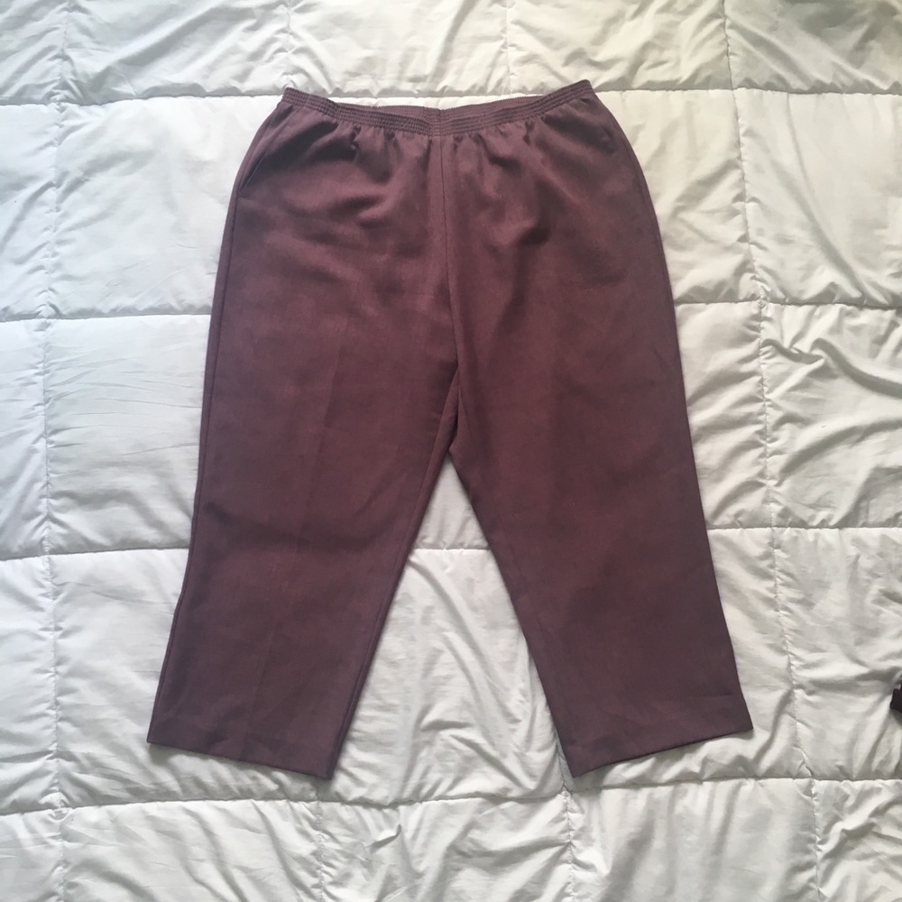 Purple Alfred Dunner Pants Size 22W